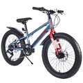 Gundir 20 Inch Kids Mountain Bike with Fat Tires, Shimano 7-Speed & Disc Brakes for Boys Girls 5+, Gray